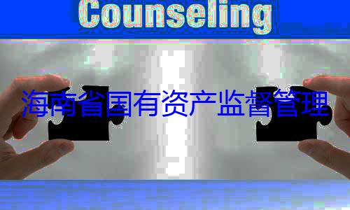 委副书记王海南省国有理委员会党有福接受审资产监督管查调查